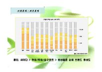 [마케팅전략론] 동아오츠카 시장점유율확대 전략-10