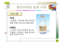 컬러마케팅 레포트-19