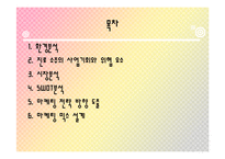 [마케팅] 진로 소주 마케팅전략-2