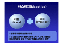 [소비자행동론] 매스티지 마케팅-4