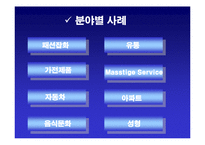 [소비자행동론] 매스티지 마케팅-8