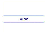 [경영학] 금호생명보험 재무제표분석-1
