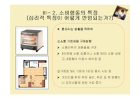 [소비자심리] 나홀로족 소비성향-18