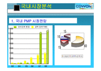 [국제경영] 코원 PMP 인도시장 진출전략-13