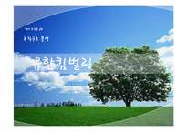 [거시조직] 유한킴벌리 조직구조 분석-1