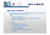 [경영정보] ES 전문가 시스템-3