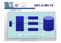 [경영정보] ES 전문가 시스템-6