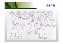 [경영정보] ES 전문가 시스템-16