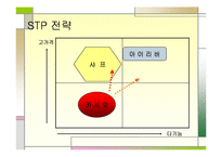 [마케팅 전략] 카시오 전자사전 마케팅 전략-14