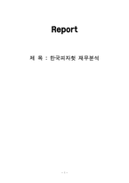[회계원리] 한국피자헛 재무분석-1