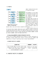 [국제마케팅] 아모레퍼시픽 AMORE PACIFIC 의 해외 시장 진출-3