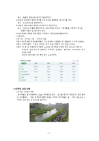[관광개발론] 청계천복원사업 문제점과 해결방안-4