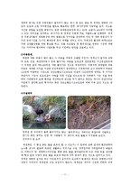 [관광개발론] 청계천복원사업 문제점과 해결방안-11