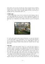 [관광개발론] 청계천복원사업 문제점과 해결방안-12