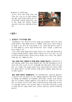 [관광개발론] 청계천복원사업 문제점과 해결방안-17