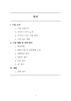 [전략경영] 아시아나IDT 기업 현황 및 전략 분석-2