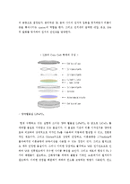 [화학공학] 양극 활물질 LiFePO₄를 이용한 전지 제작-5