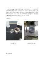 [화학공학] 양극 활물질 LiFePO₄를 이용한 전지 제작-10