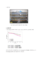 [화학공학] 양극 활물질 LiFePO₄를 이용한 전지 제작-15