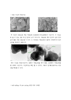 [화학공학] 양극 활물질 LiFePO₄를 이용한 전지 제작-16