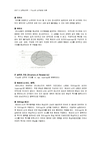 [교육심리학] 프로이드 Freud의 성격발달 이론-4