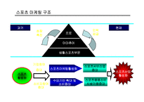 [경영학] 스포츠산업-12