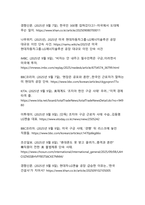 미국 조지아 공장 한국인구금 사태, 미국 비자 뭐가 문제였나-12