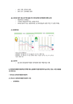 영화 28일 동안 정신간호분석 레포트-13