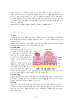 방광암 케이스 스터디(비뇨기계, 방광암 사례 보고서)-5