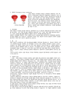 양성전립선비대증 비뇨기계 케이스 스터디-4
