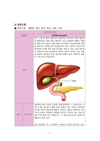 담낭염 cholecystitis 외과병동 케이스 스터디-4