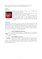 위암 케이스스터디 [위암(Stomach Cancer) CASESTYDY]-4
