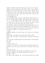 대중영화의이해  종합예술에 대한 개념 7p-4