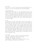 (2025학년도 2학기 중간과제물, 생물과학, 공통형) 1. 세포의 물질대사와 관련된 내막계의 특징과 기능을 설명하라.(세포 내 물질대사와 관련된 소기관들의 역할과 특징을 설명하고, 내막계에서의 역할을 구체적으로 설명할 것)-9