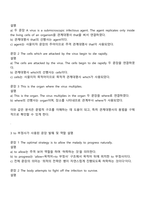 방송통신대학교 영문학과 1학년 대학영어 중간과제물 공통-3