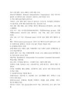 공공협치론 2학기 중간과제 네트워크 거버넌스8p-3