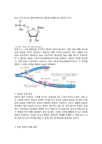 [세특 주제] [수행 만점] [의대 세특] 생명과학2 주제탐구보고서-3