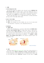 성인간호 간호과정 CASE 유착성 관절낭염-3