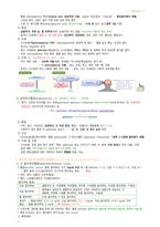 아동건강간호학 - 신생아의 건강문제, 영아기 아동.유아.학령전기 아동.학령기 아동.청소년의 건강증진과 건강문제-2