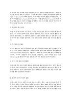 인간과과학(빅뱅)-5