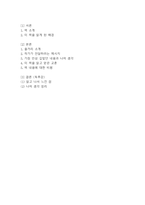 연을 쫓는 아이 독후감 - 연을 쫓는 아이 줄거리 소개 및 가장 인상깊었던 내용과 나의생각 / 연을 쫓는 아이 비평 및 읽고나서 느낀점-2