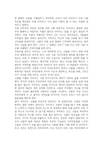 연을 쫓는 아이 독후감 - 연을 쫓는 아이 줄거리 소개 및 가장 인상깊었던 내용과 나의생각 / 연을 쫓는 아이 비평 및 읽고나서 느낀점-8