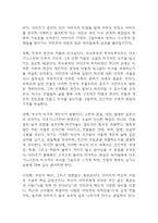 연을 쫓는 아이 독후감 - 연을 쫓는 아이 줄거리 소개 및 가장 인상깊었던 내용과 나의생각 / 연을 쫓는 아이 비평 및 읽고나서 느낀점-10