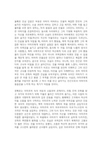연을 쫓는 아이 독후감 - 연을 쫓는 아이 줄거리 소개 및 가장 인상깊었던 내용과 나의생각 / 연을 쫓는 아이 비평 및 읽고나서 느낀점-12