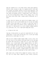 연을 쫓는 아이 독후감 - 연을 쫓는 아이 줄거리 소개 및 가장 인상깊었던 내용과 나의생각 / 연을 쫓는 아이 비평 및 읽고나서 느낀점-13