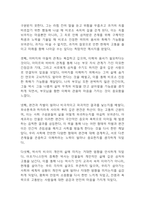 연을 쫓는 아이 독후감 - 연을 쫓는 아이 줄거리 소개 및 가장 인상깊었던 내용과 나의생각 / 연을 쫓는 아이 비평 및 읽고나서 느낀점-14