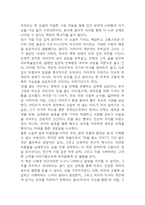 연을 쫓는 아이 독후감 - 연을 쫓는 아이 줄거리 소개 및 가장 인상깊었던 내용과 나의생각 / 연을 쫓는 아이 비평 및 읽고나서 느낀점-19