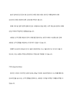이마트 EMART 경영,마케팅전략분석과 이마트 향후 경영전략제안-11