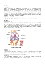 성인간호학 전방십자인대파열 케이스/보고서-2
