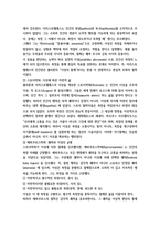 철학의 이해 인간은 이상적인 존재 41p-7